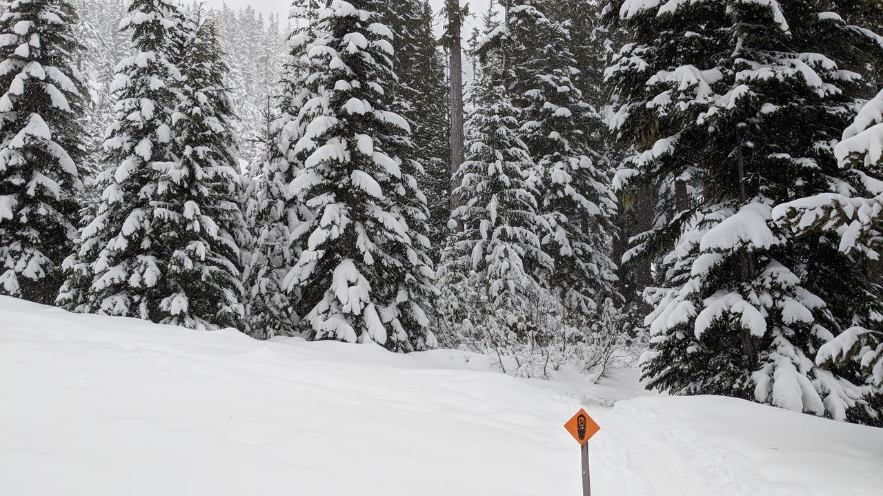 White Pass Log Cabin Luxury Retreat Rimrock Екстер'єр фото