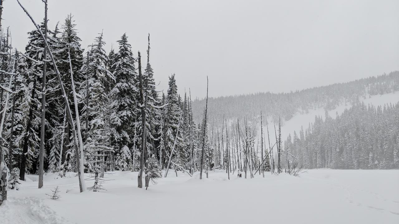 White Pass Log Cabin Luxury Retreat Rimrock Екстер'єр фото